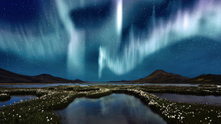 Tonight's Your Best Chance to See Northern Lights In Years